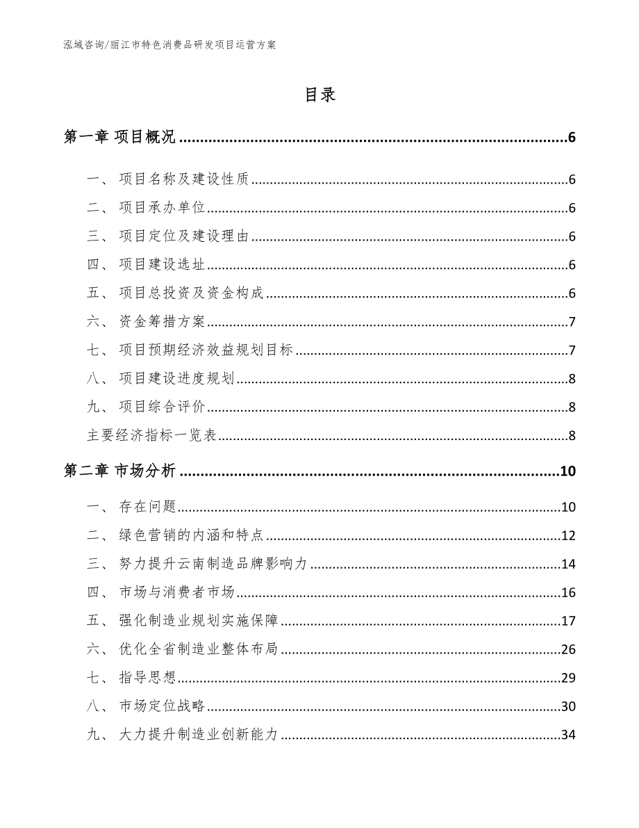 丽江市特色消费品研发项目运营方案_参考模板_第1页