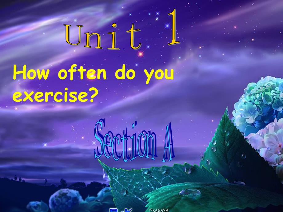 UNIT1 How often do you exercise13361_第1页