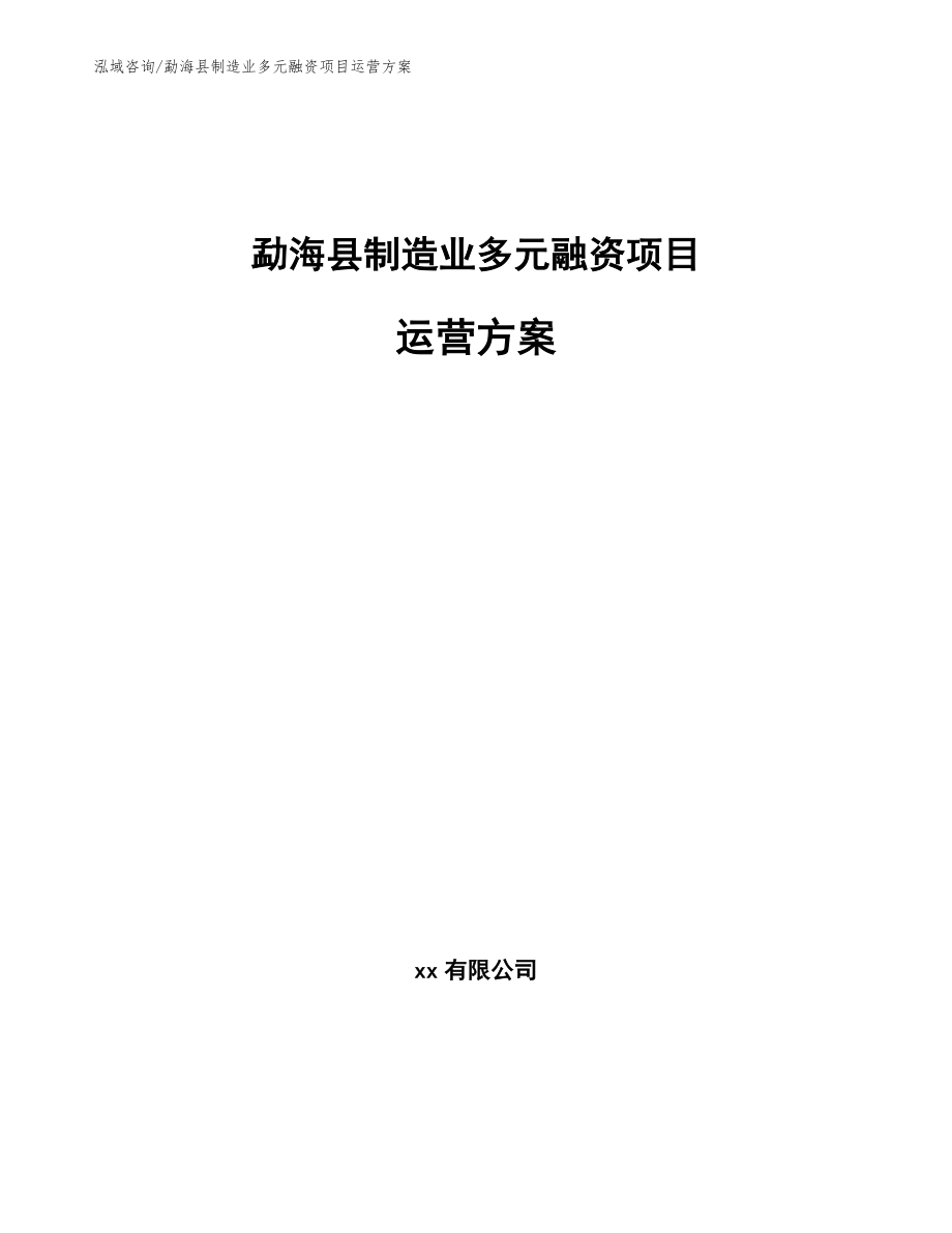 勐海县制造业多元融资项目运营方案（模板范本）_第1页