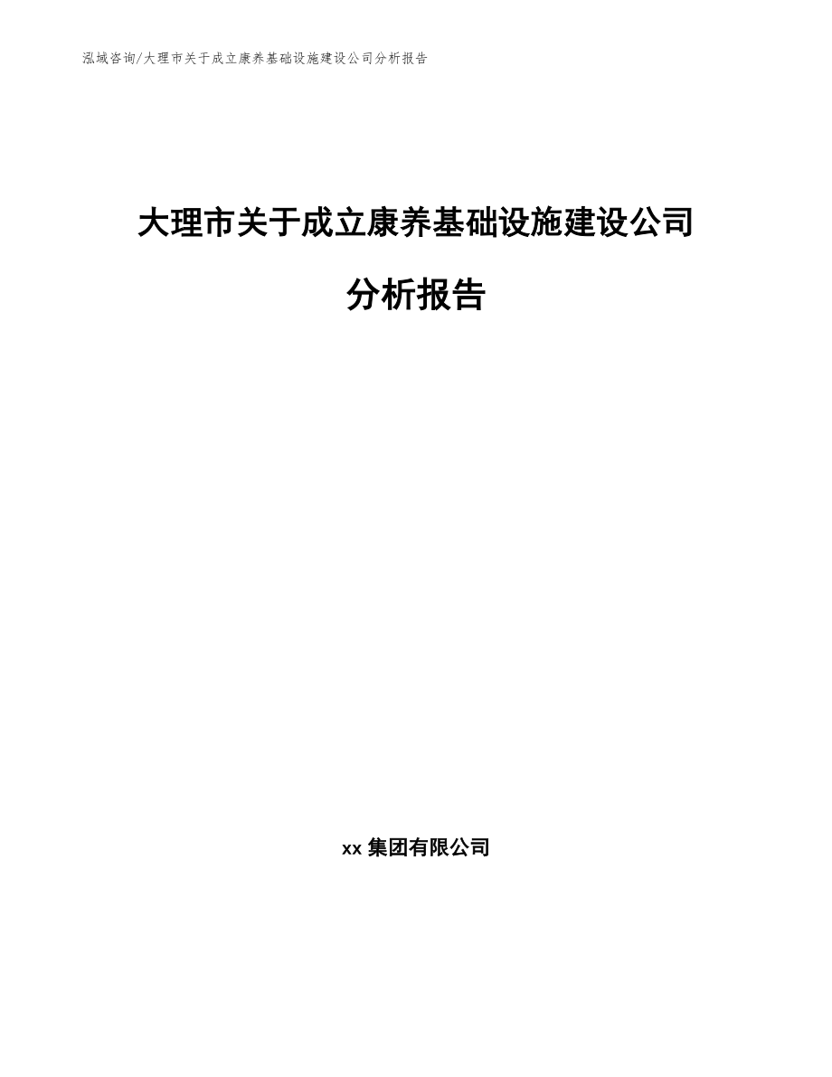 大理市关于成立康养基础设施建设公司分析报告模板参考_第1页