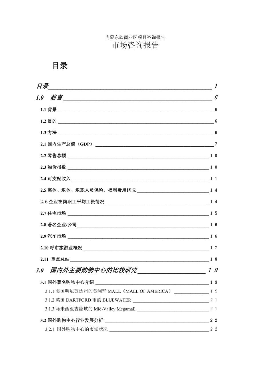 内蒙东欣商业区项目咨询报告DOC94(1)_第1页