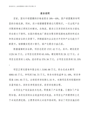 上海铝塑膜技术服务项目建议书（参考范文）
