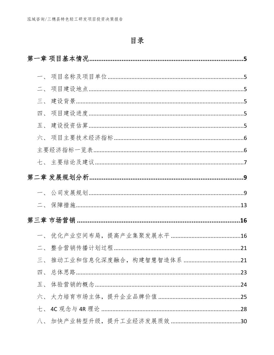 三穗县特色轻工研发项目投资决策报告_第1页