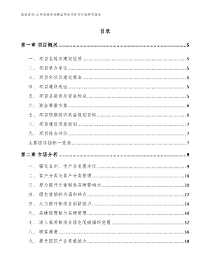 兰坪县特色消费品研发项目可行性研究报告（模板）