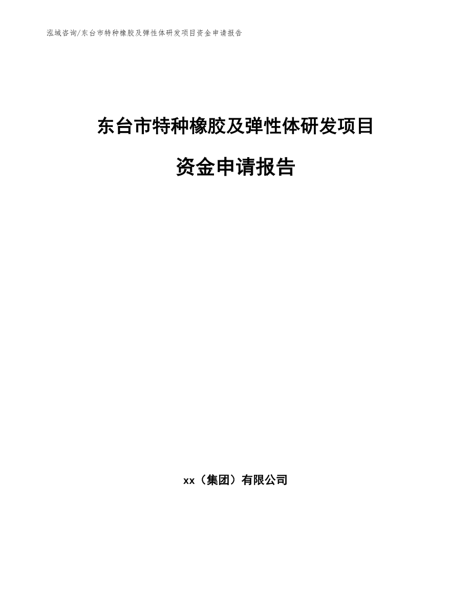 东台市特种橡胶及弹性体研发项目资金申请报告_范文参考_第1页