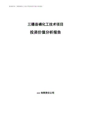 三穗县磷化工技术项目投资价值分析报告范文