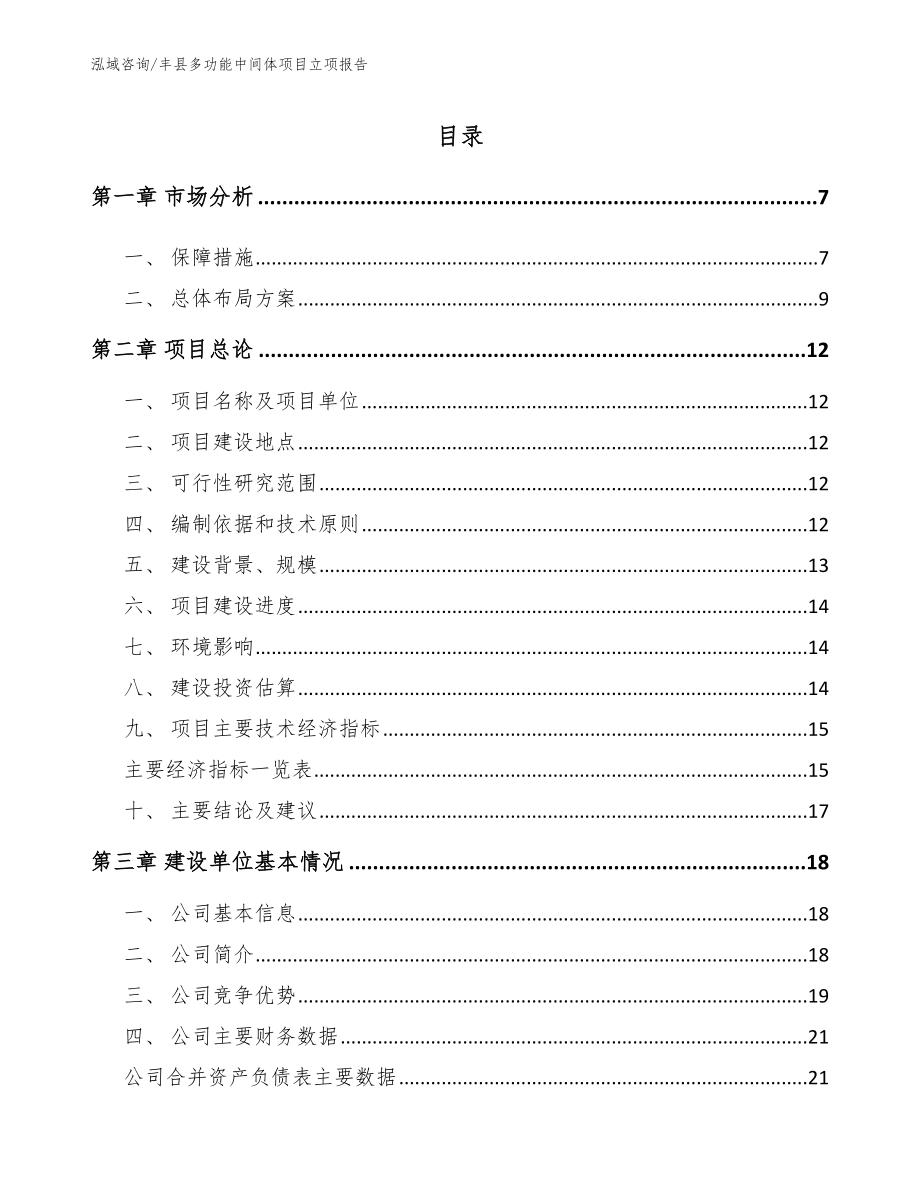 丰县多功能中间体项目立项报告_第1页