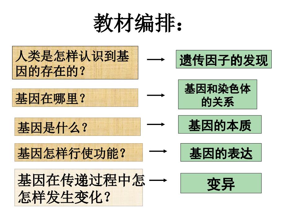 251基因突变和基因重组_第1页