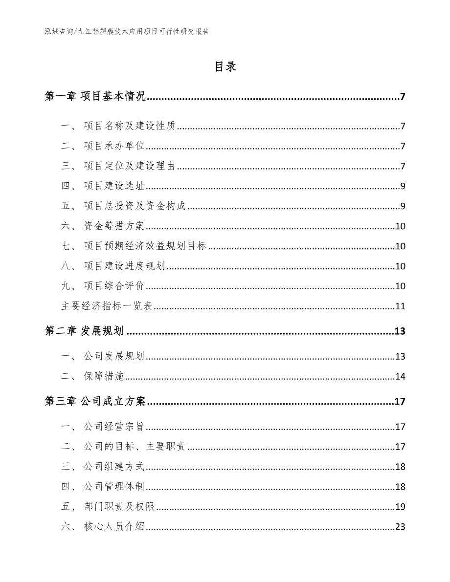 九江铝塑膜技术应用项目可行性研究报告（模板范文）_第1页
