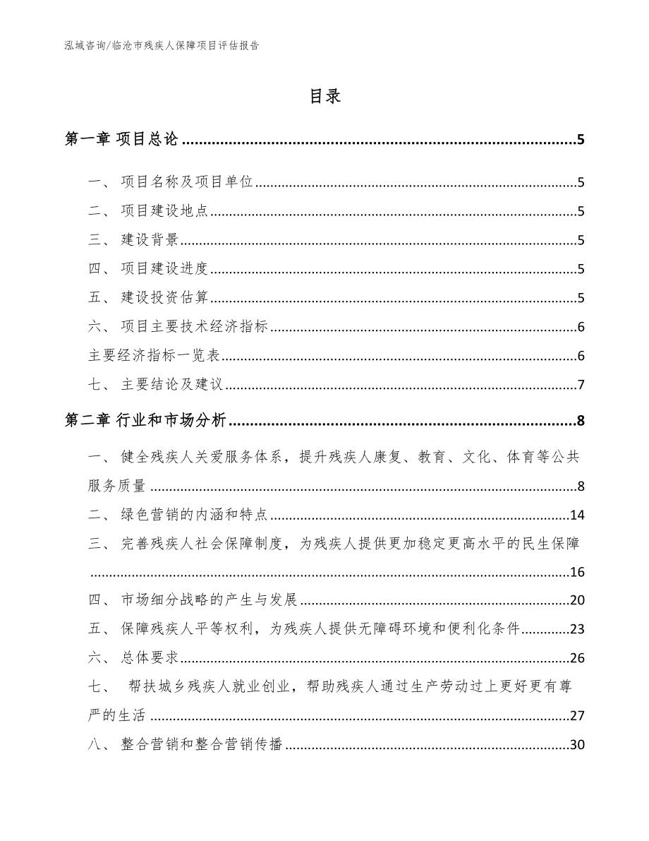临沧市残疾人保障项目评估报告模板范文_第1页