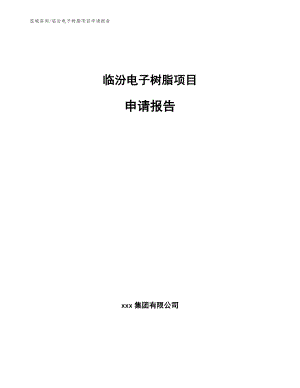 临汾电子树脂项目申请报告（模板）