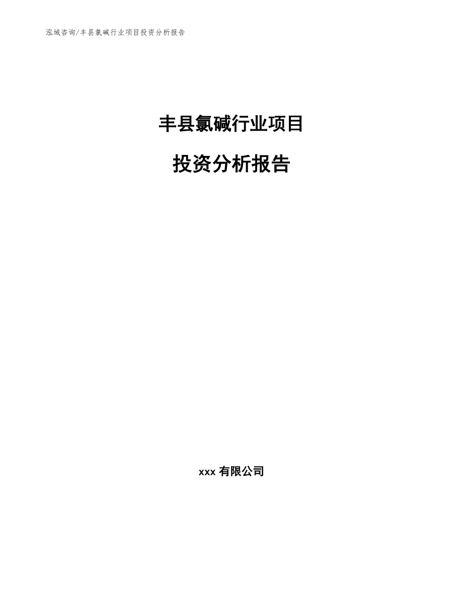 丰县氯碱行业项目投资分析报告（范文模板）_第1页