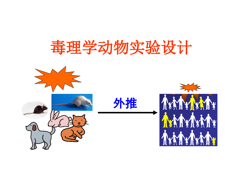 毒理学动物实验设计_第1页