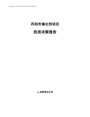 丹阳市催化剂项目投资决策报告（参考模板）