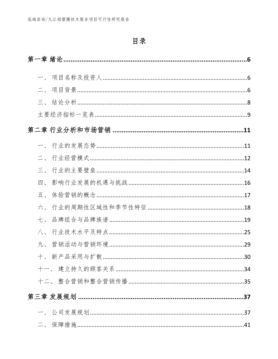 九江铝塑膜技术服务项目可行性研究报告（参考模板）_第1页