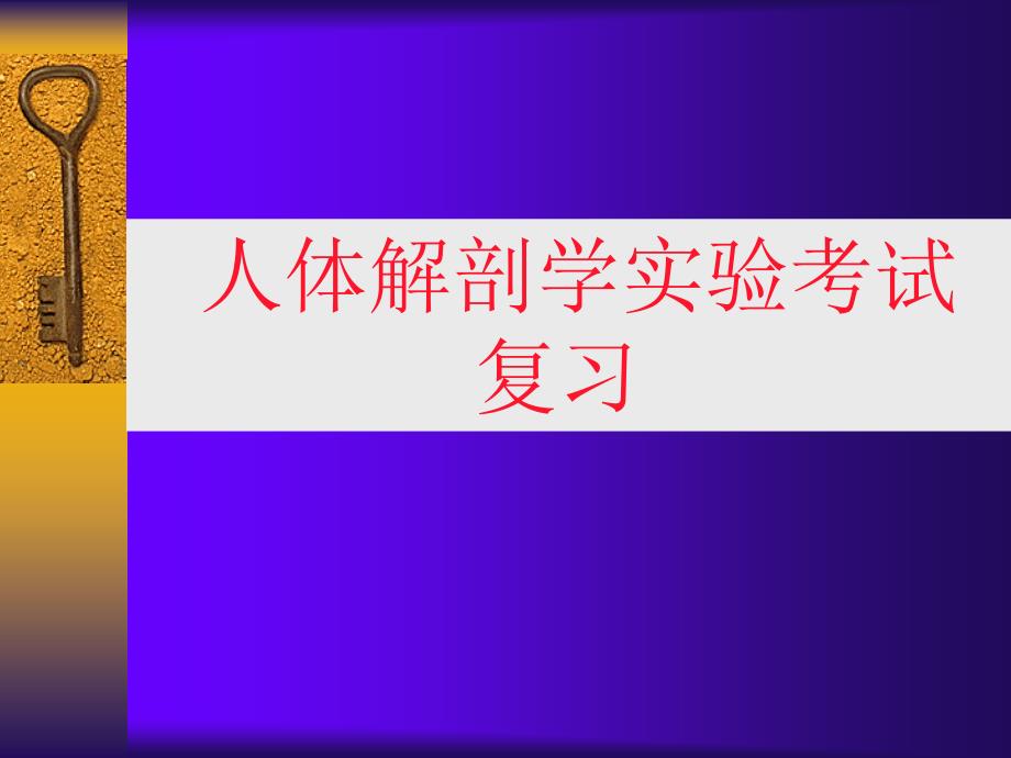 体解剖学实物标本考试复习(人体解剖..._第1页