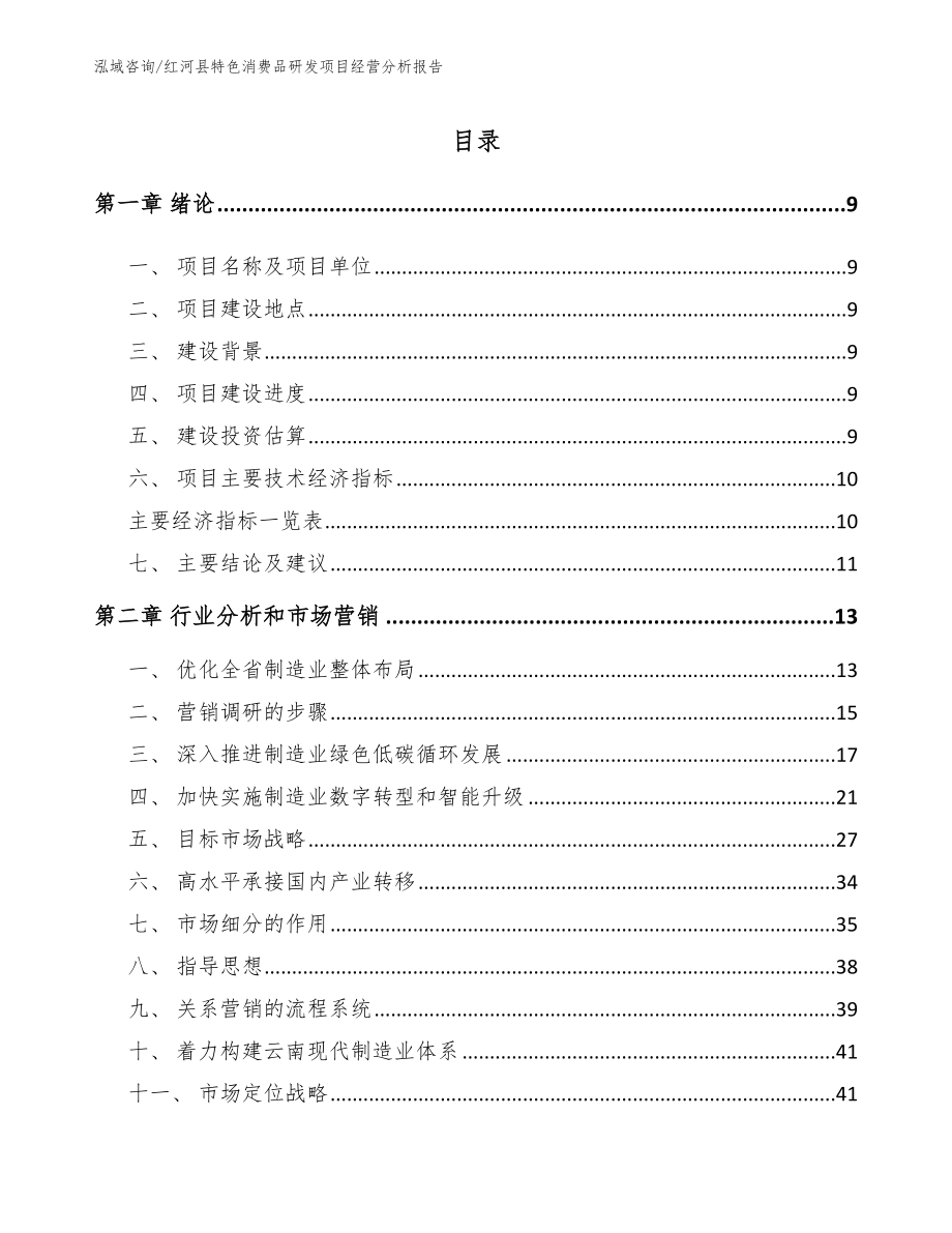 红河县特色消费品研发项目经营分析报告_第1页