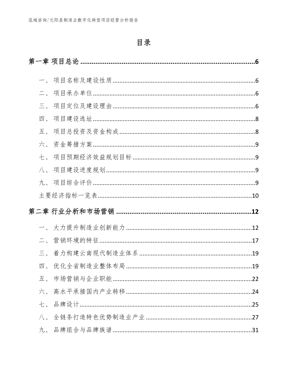 元阳县制造业数字化转型项目经营分析报告_模板参考_第1页
