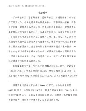 元江县关于成立石墨烯基新材料研发公司分析报告范文