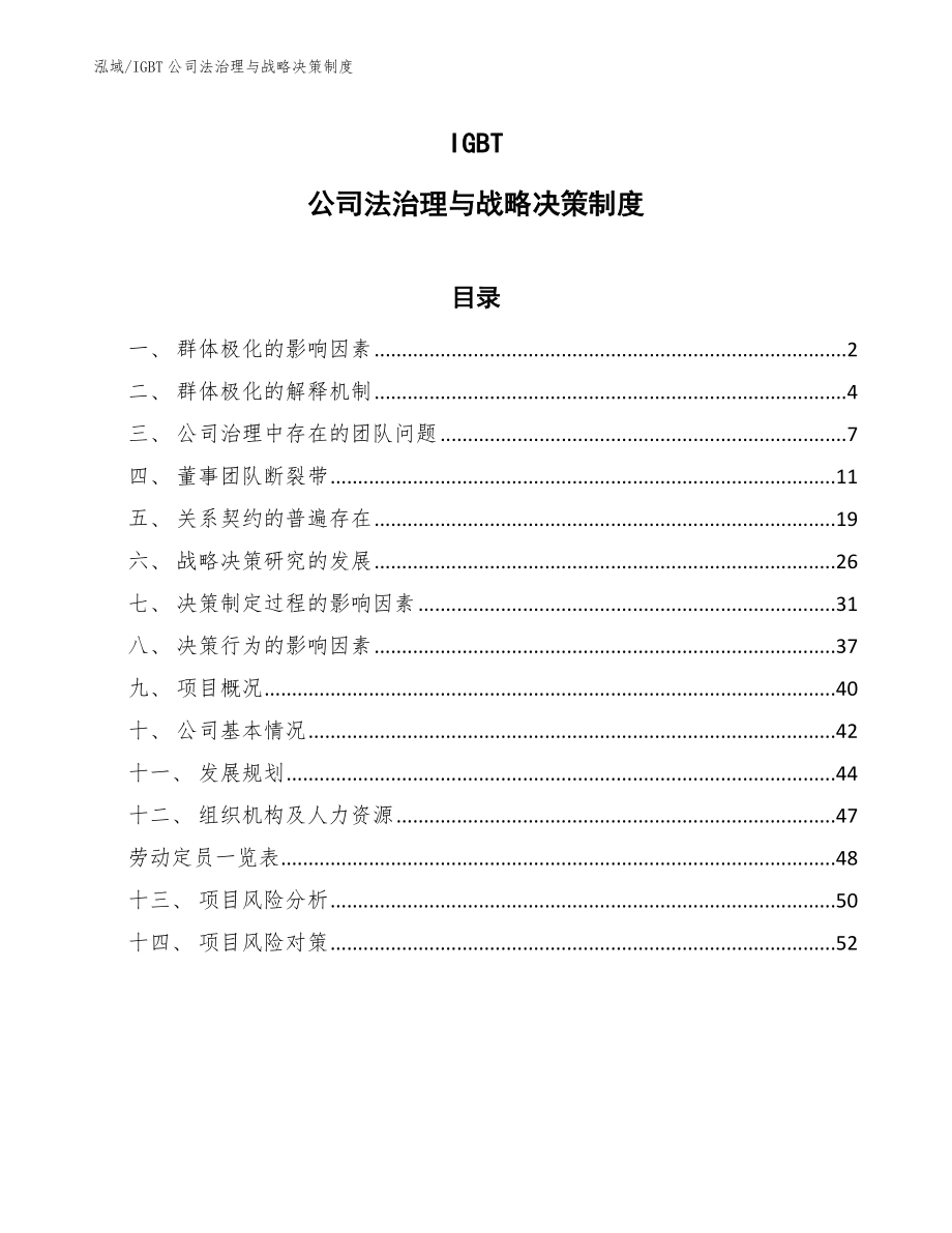 IGBT公司法治理与战略决策制度_参考_第1页