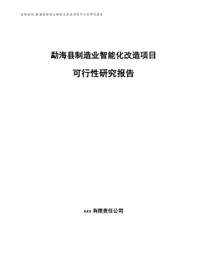 勐海县制造业智能化改造项目可行性研究报告（范文参考）