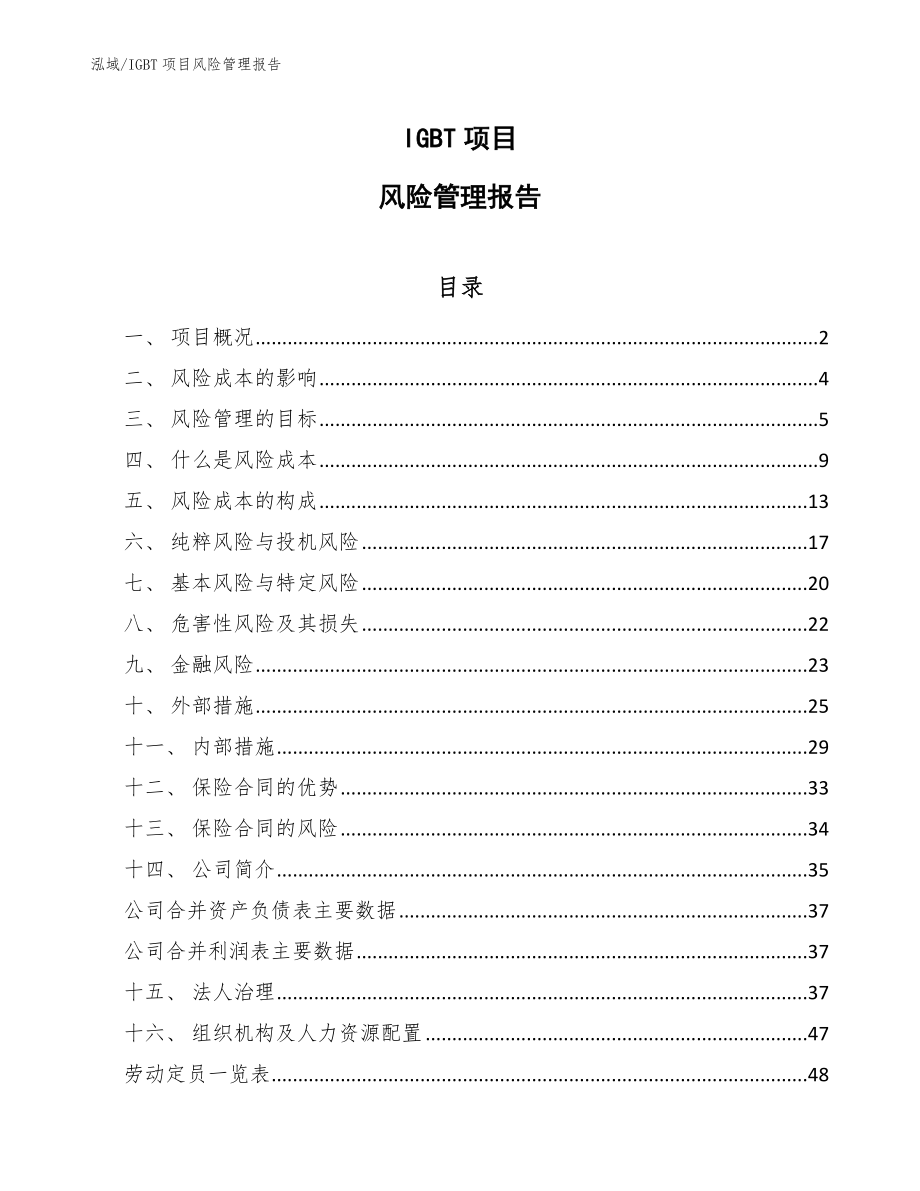 IGBT项目风险管理报告【范文】_第1页