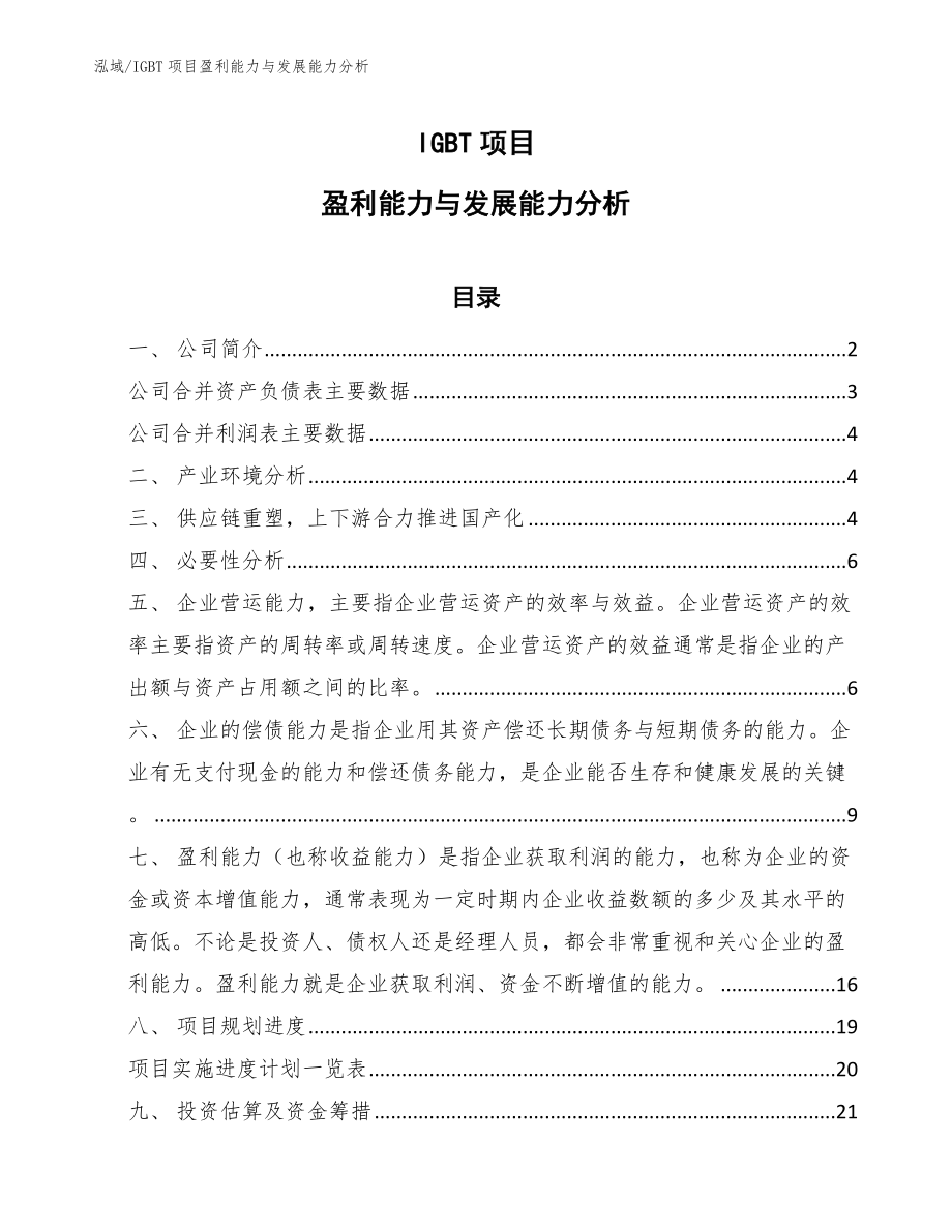 IGBT项目盈利能力与发展能力分析_第1页