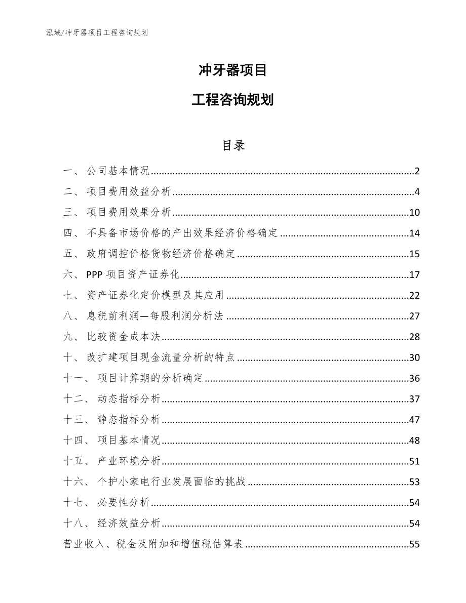 冲牙器项目工程咨询规划（范文）_第1页