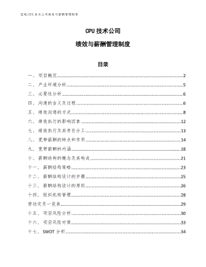 CPU技术公司绩效与薪酬管理制度