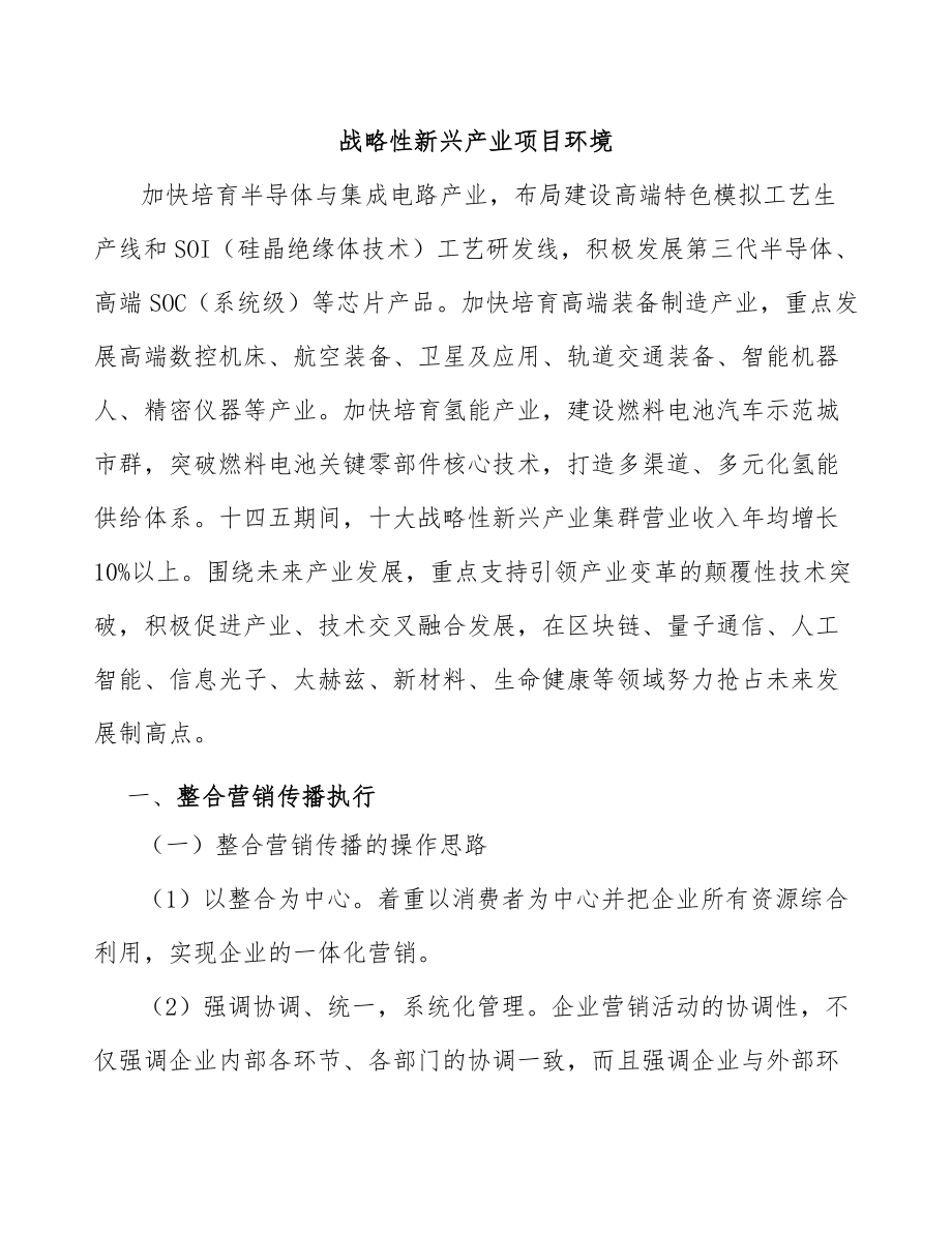 战略性新兴产业项目环境_第1页