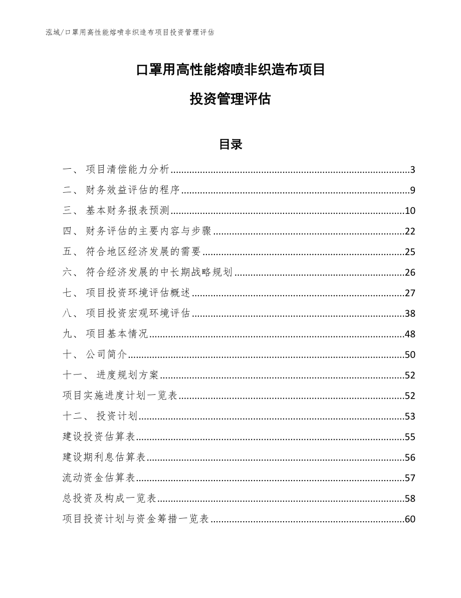 口罩用高性能熔喷非织造布项目投资管理评估_范文_第1页