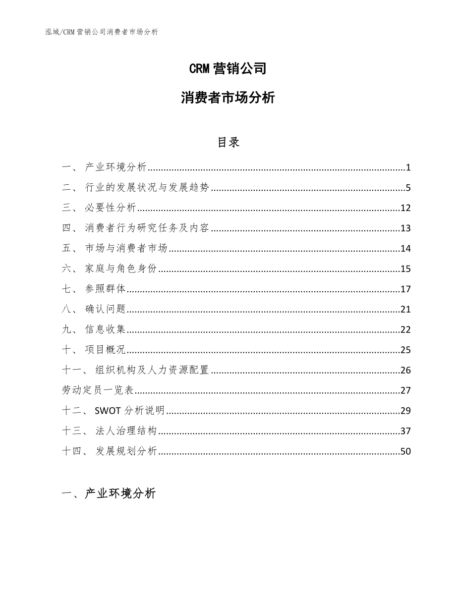 CRM营销公司消费者市场分析【参考】_第1页