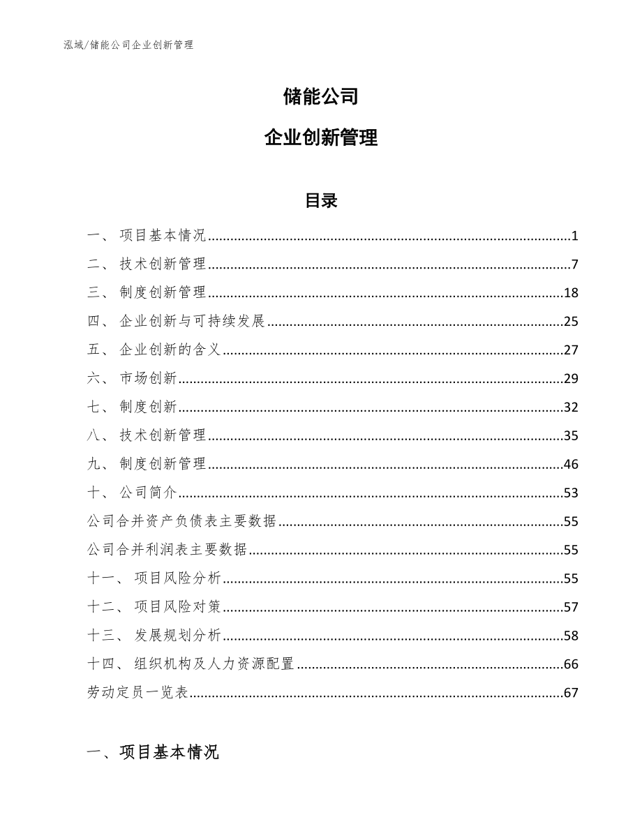 储能公司企业创新管理_第1页