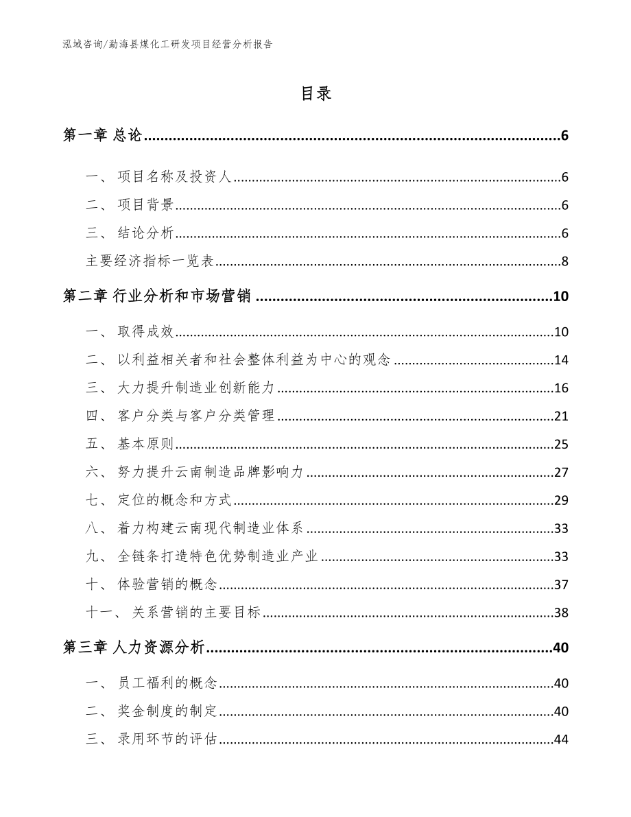 勐海县煤化工研发项目经营分析报告模板参考_第1页