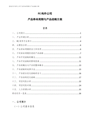 PC构件公司产品寿命周期与产品战略方案