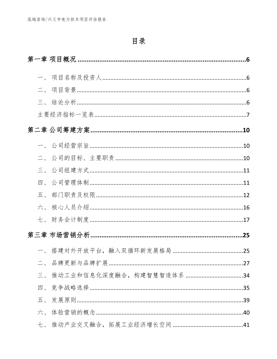 兴义市电力技术项目评估报告【范文模板】_第1页