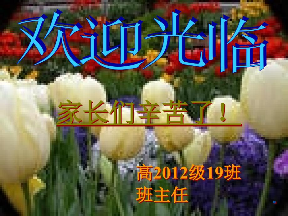 高二年级19班家长会_第1页