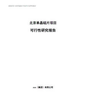北京单晶硅片项目可行性研究报告【模板范本】