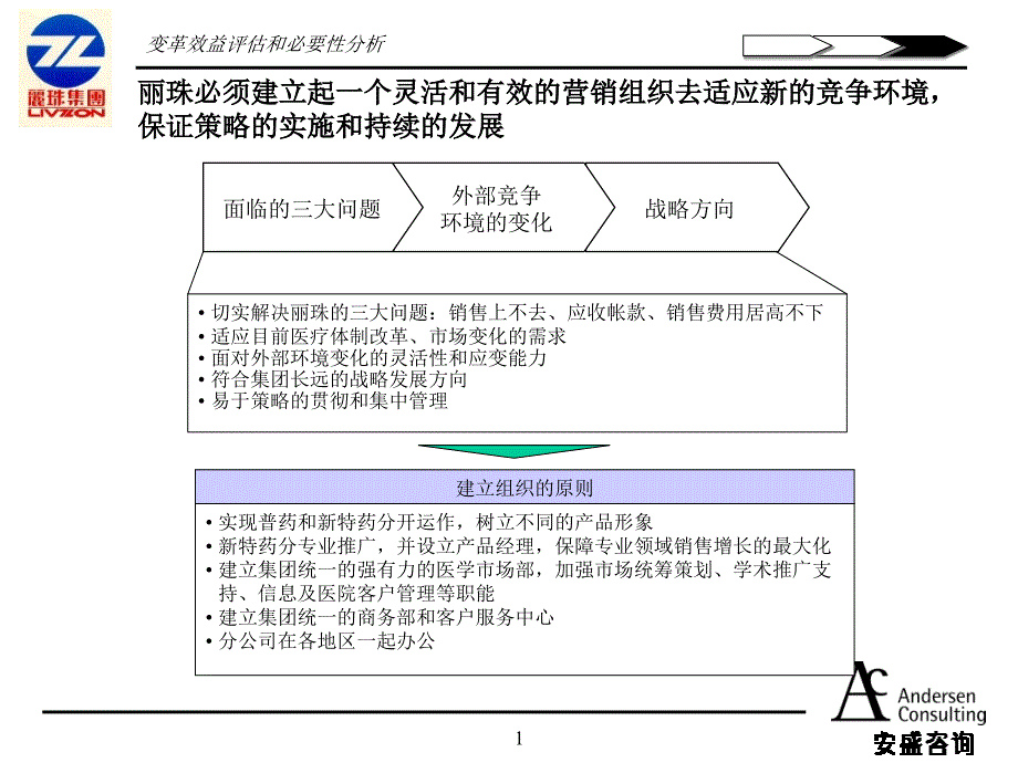 安盛丽珠战略2_第1页