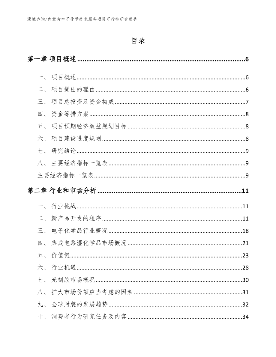 内蒙古电子化学技术服务项目可行性研究报告_模板_第1页