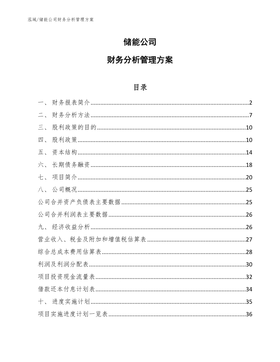 储能公司财务分析管理方案（范文）_第1页