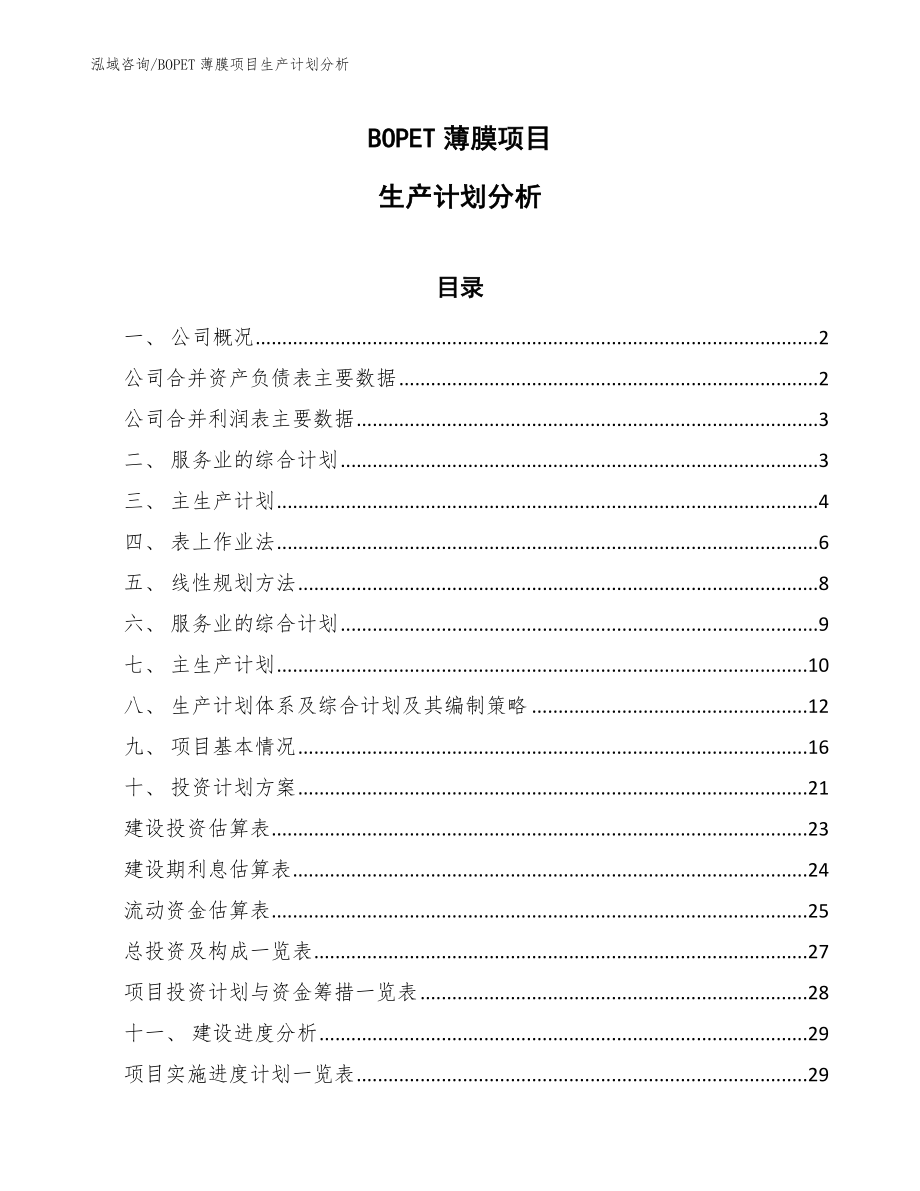 BOPET薄膜项目生产计划分析_第1页