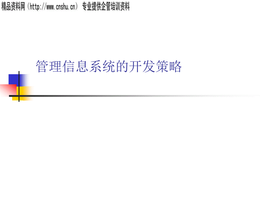 管理信息系统的开发策略（PPT35页）_第1页