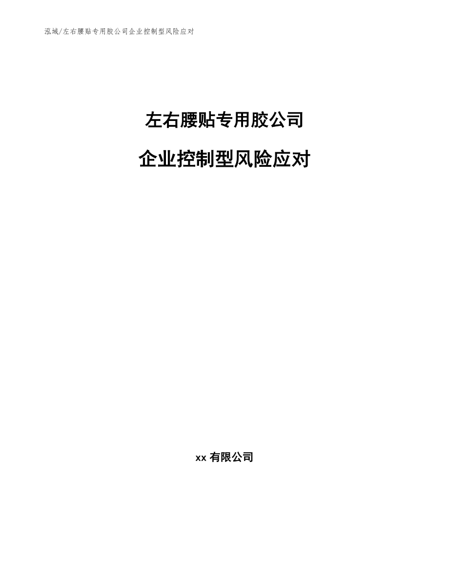 左右腰贴专用胶公司企业控制型风险应对（范文）_第1页