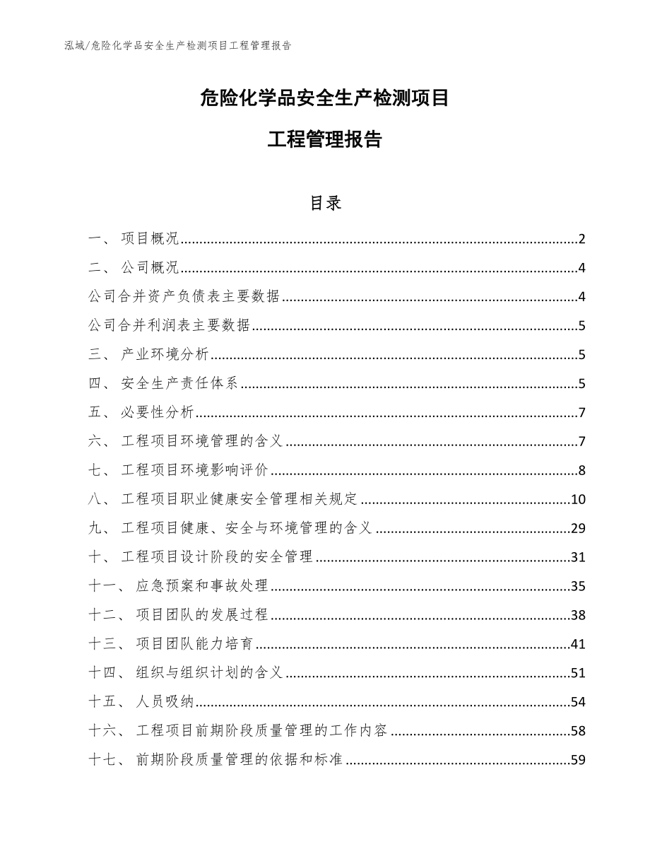 危险化学品安全生产检测项目工程管理报告（范文）_第1页