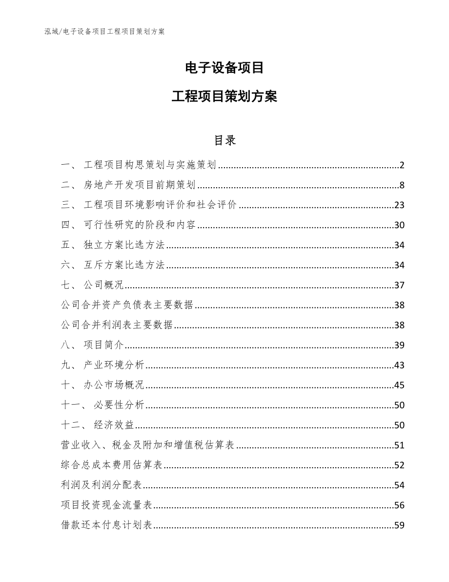 电子设备项目工程项目策划方案【范文】_第1页