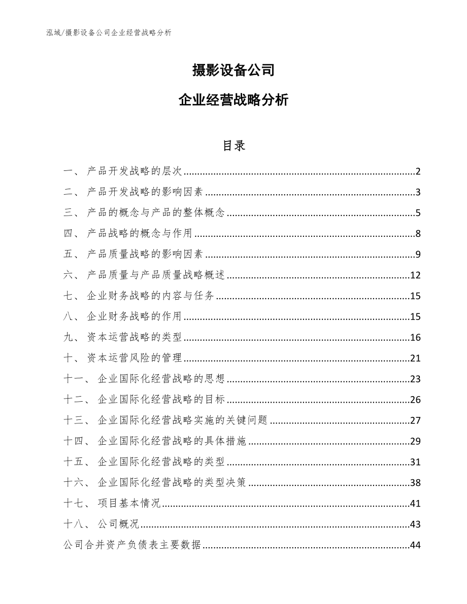 摄影设备公司企业经营战略分析_第1页