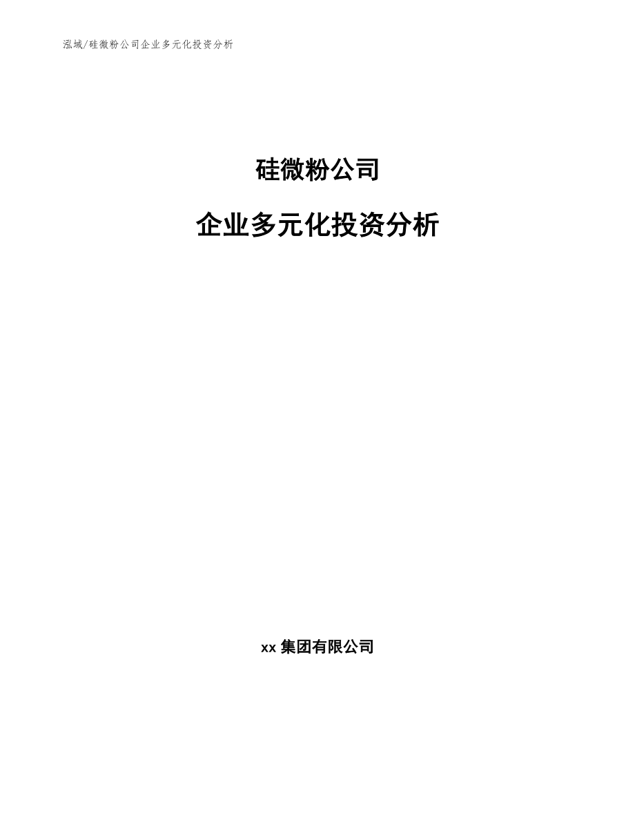 硅微粉公司企业多元化投资分析_第1页