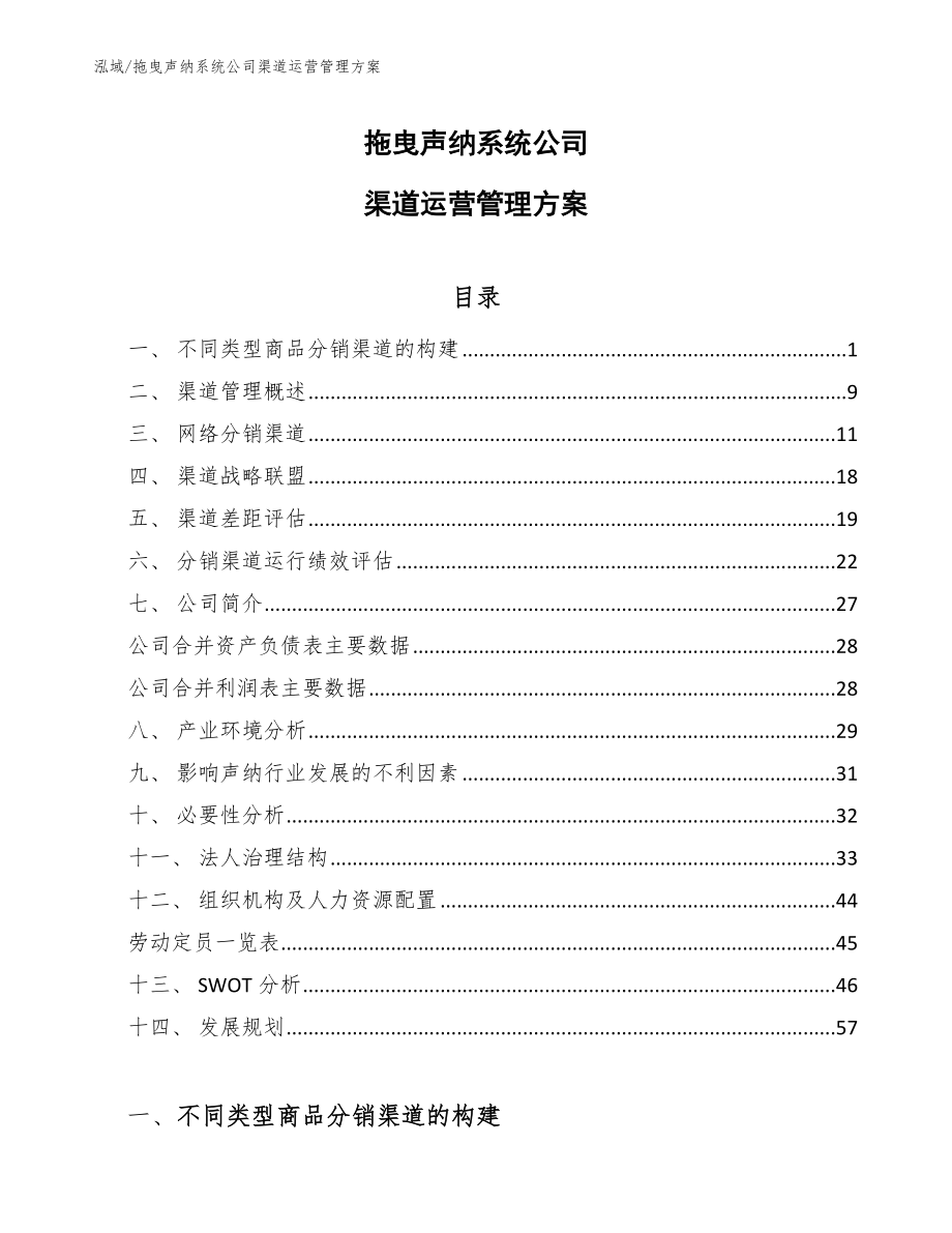 拖曳声纳系统公司渠道运营管理方案_第1页