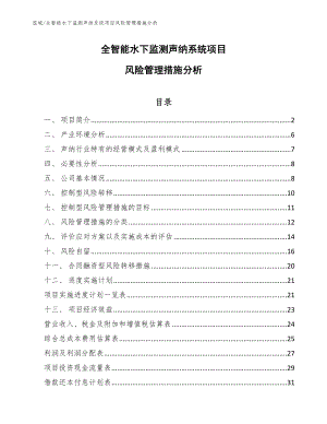 全智能水下监测声纳系统项目风险管理措施分析_范文